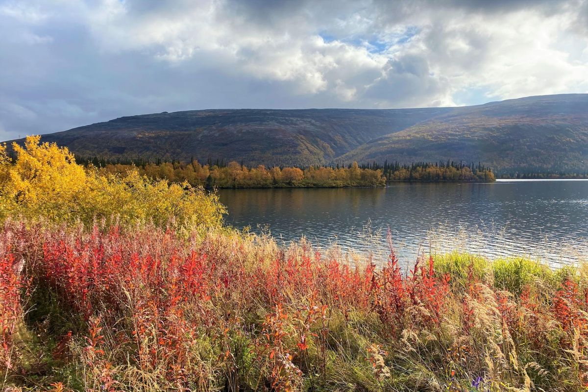 Большой Кольский с ночевкой в Териберке + Ловозеро + этнодеревня/Кировск + Мурманск (июнь-сентябрь)