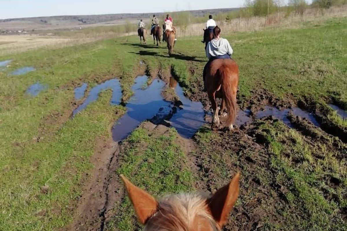 Конный тур «Будни в деревне»