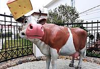 Сырная Кострома