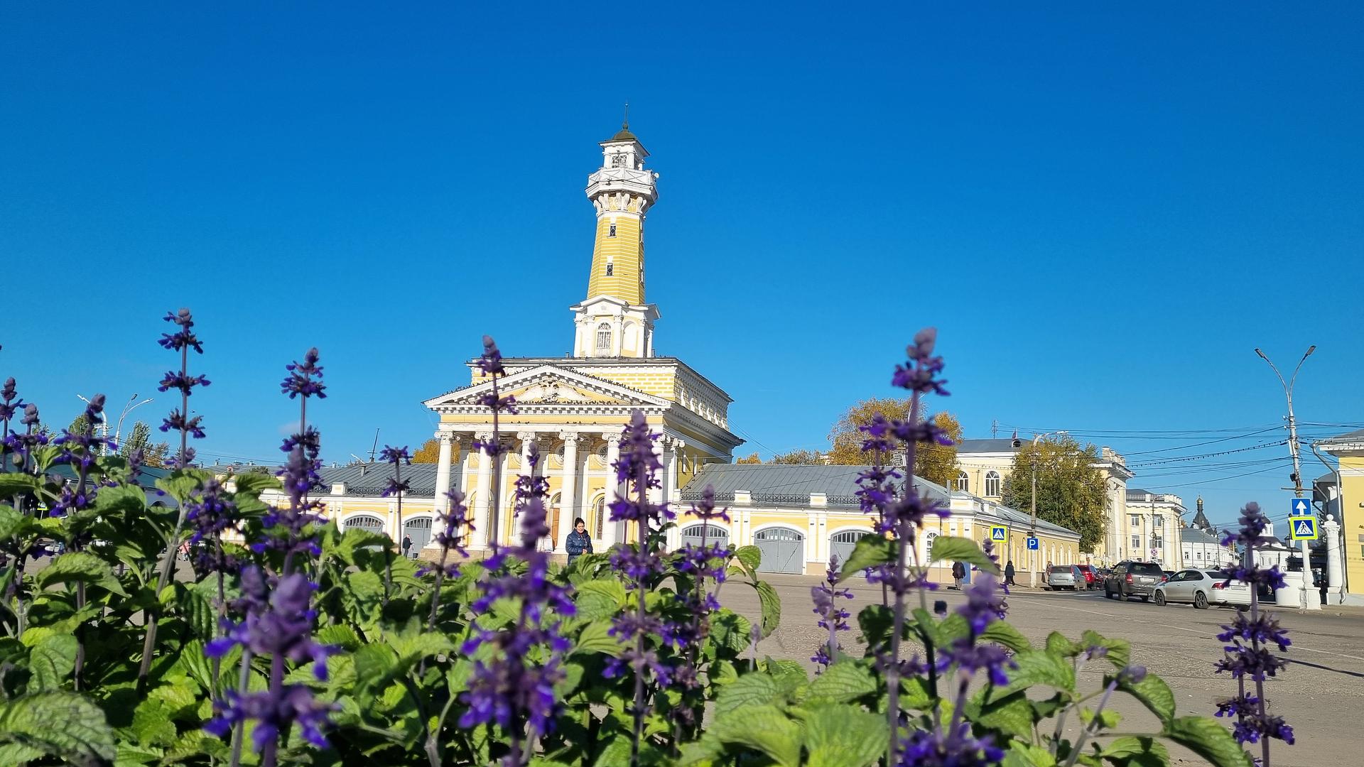 День в Костроме. Обзорная экскурсия, лосеферма, музей Сыра.