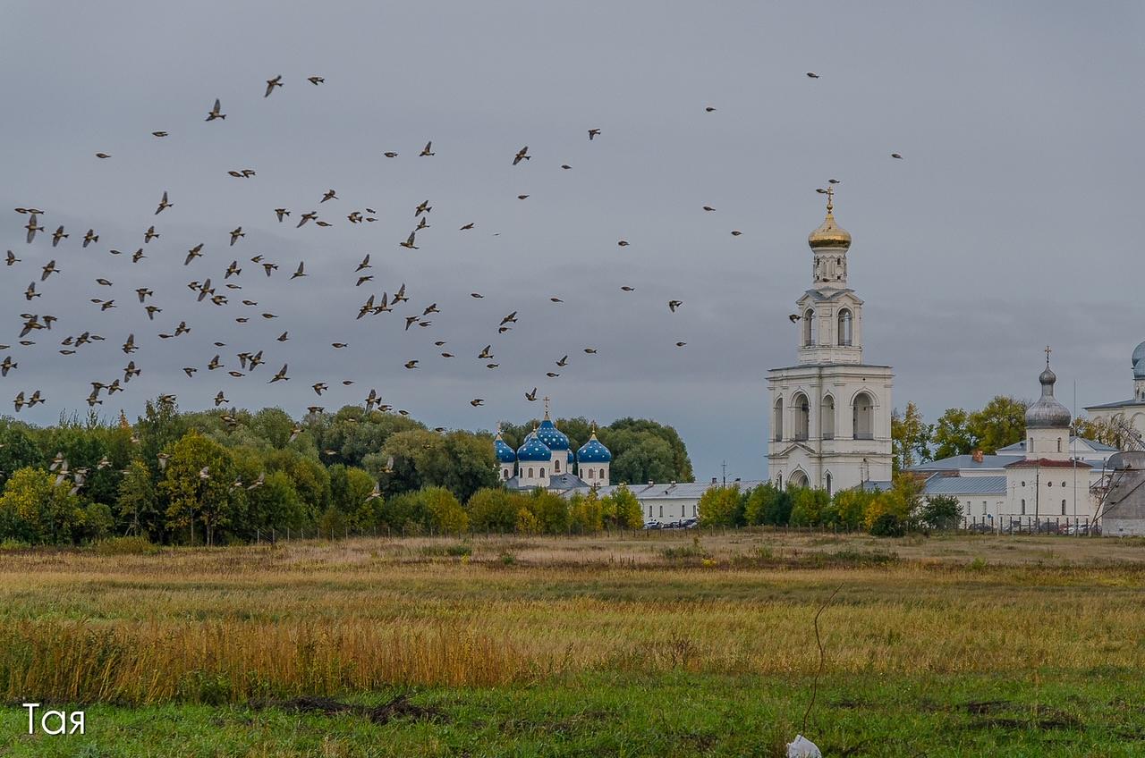 Загородная экскурсия по окрестностям