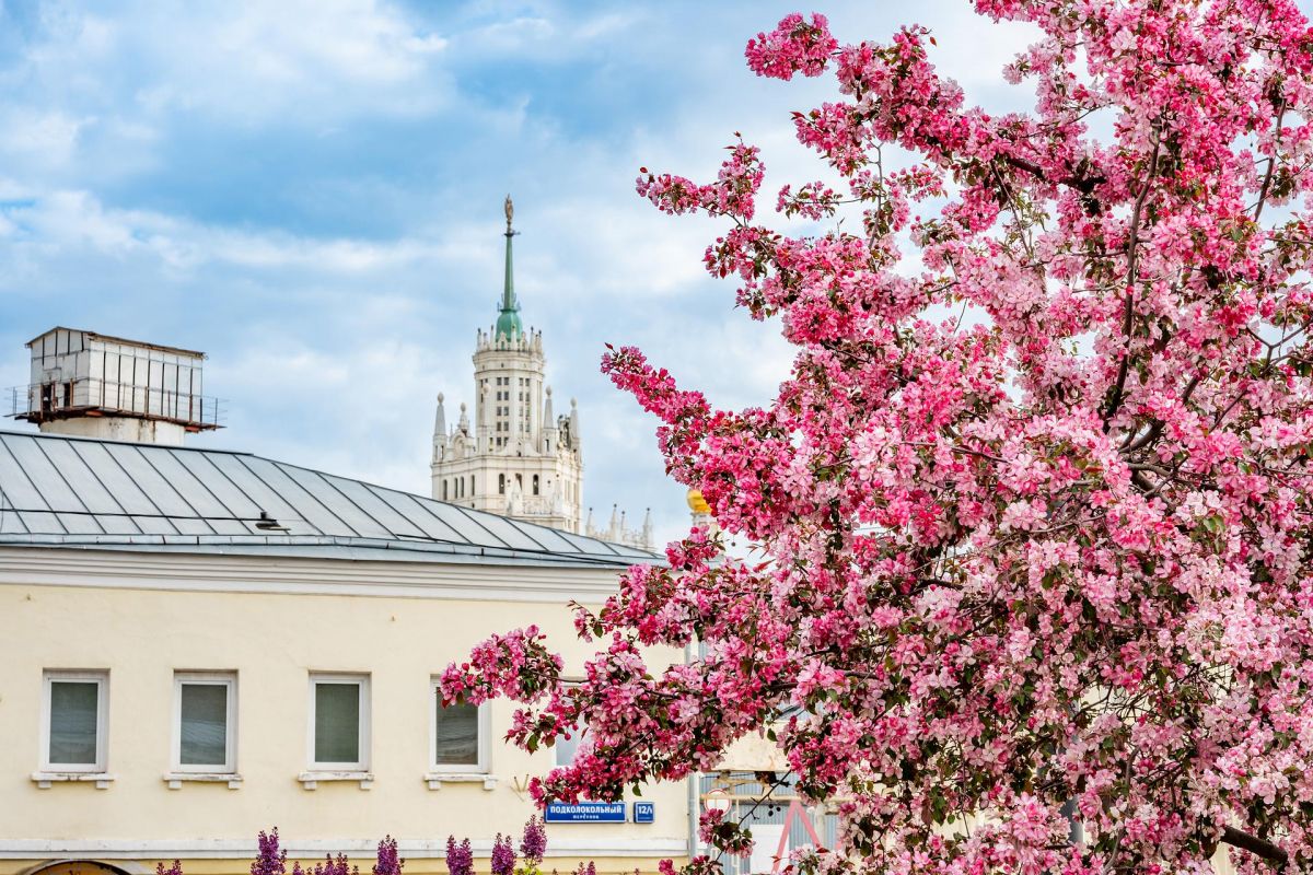 Выходные в Москве – СТАНДАРТ (СБОРНО-ГРУППОВОЙ ТУР)