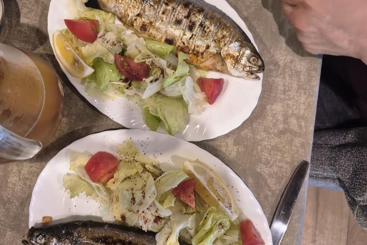 Сулакский каньон и Бархан "Сарыкум"