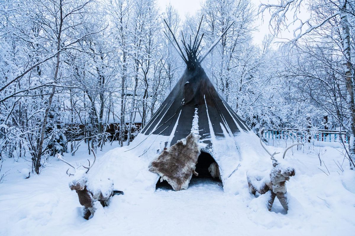 Новогодний Кольский