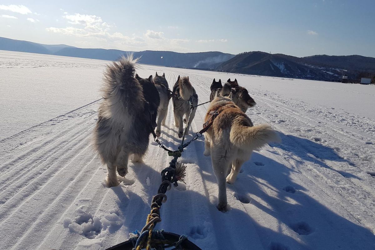 Кристальный лёд Байкала