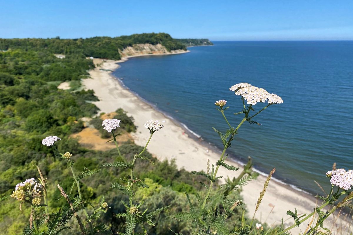 Побережье чудес: городки на море + Калининград