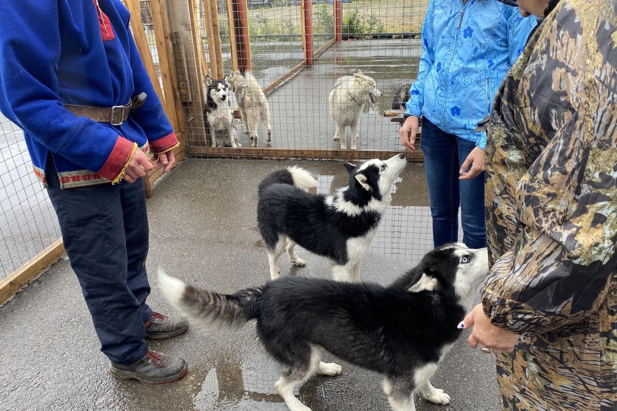 Комбо-тур: Мурманск и Териберка + Ловозеро и Кировск