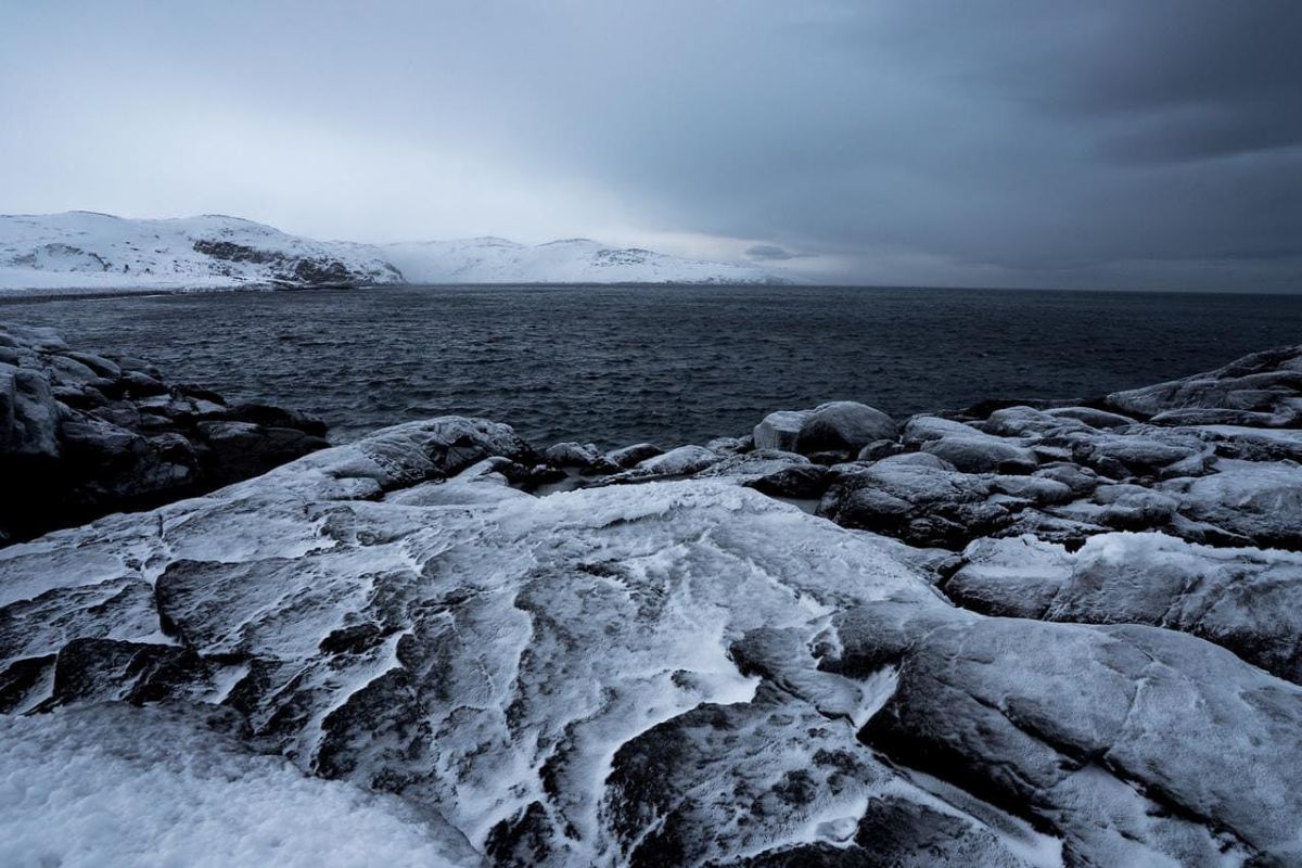 Новогодний Кольский