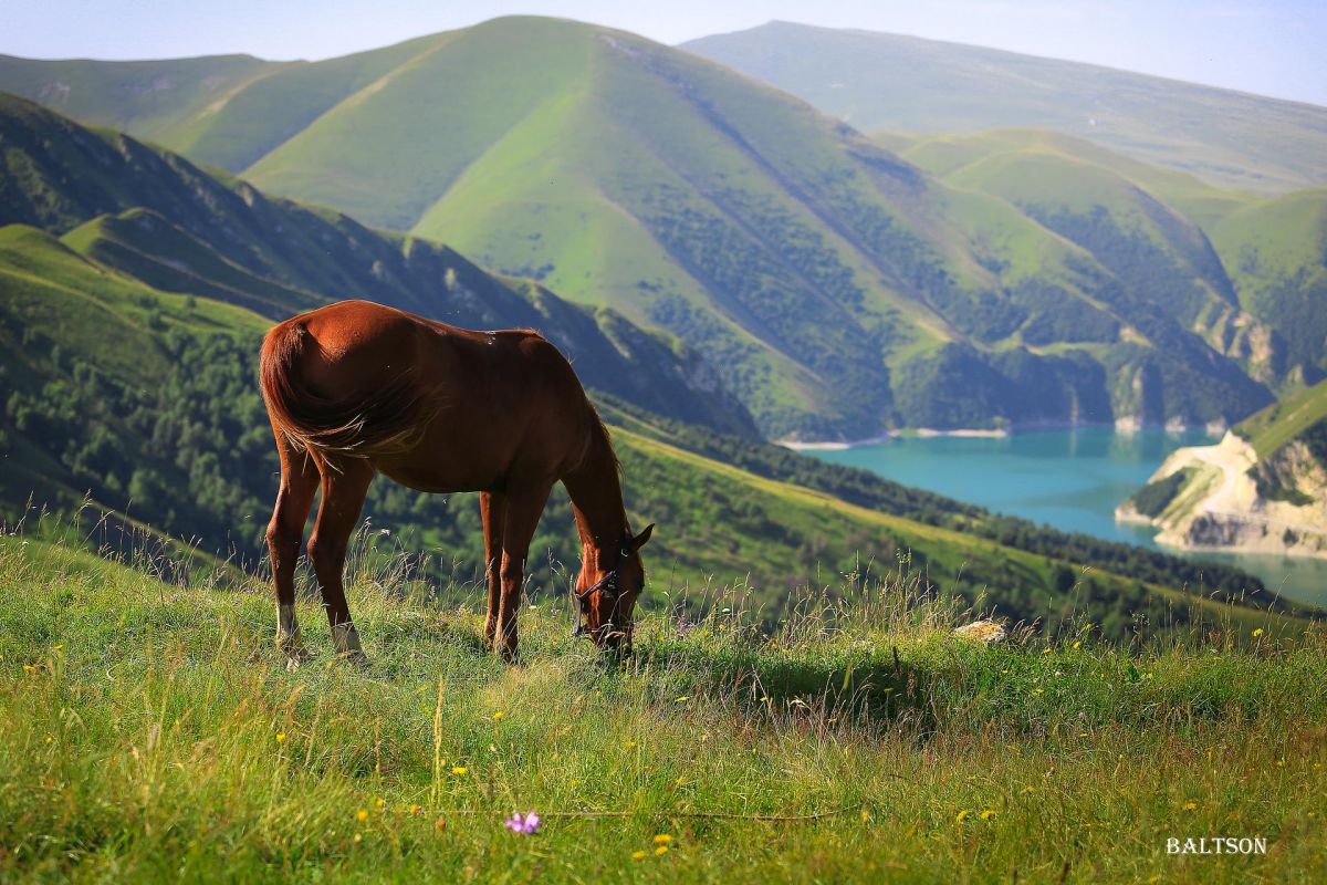 Красота гор и сила традиций (заезды по ВС)