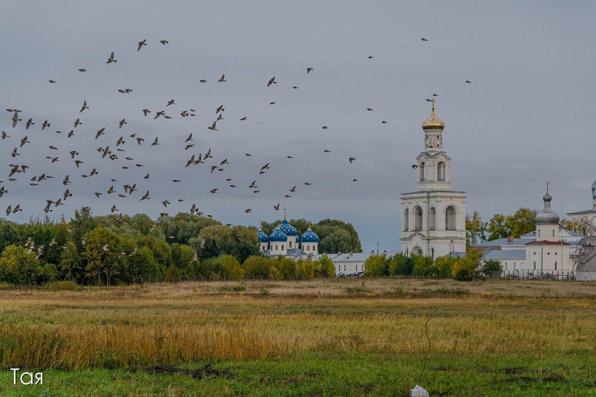Загородная экскурсия по окрестностям