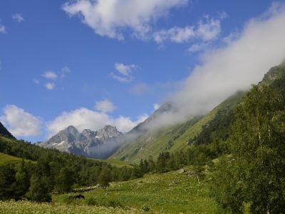На склонах гор…