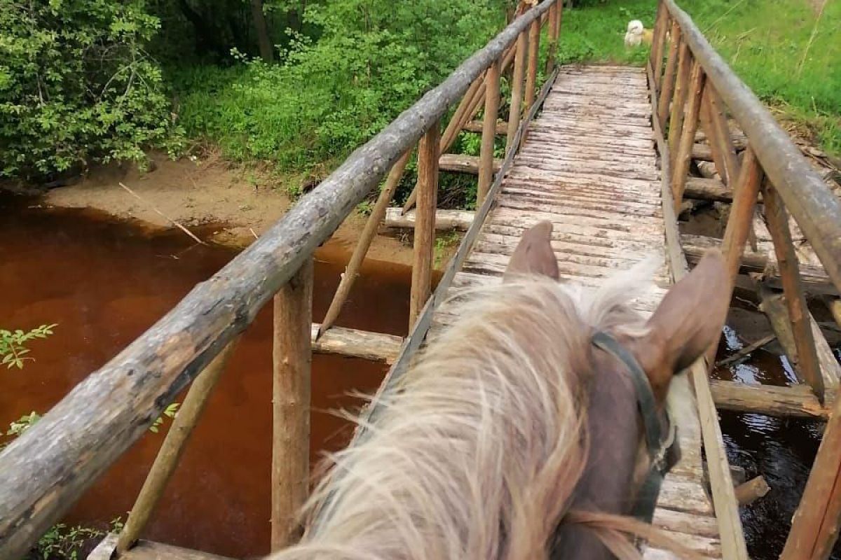 Верхом по землям древнего Галича
