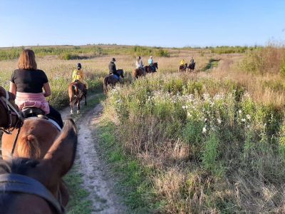 Конный тур «Будни в деревне»