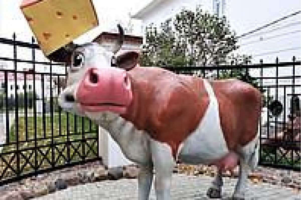 Сырная Кострома