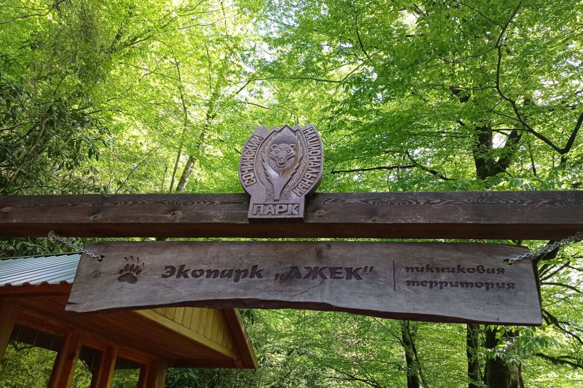Треккинг в Сочи. Каникулы в субтропиках