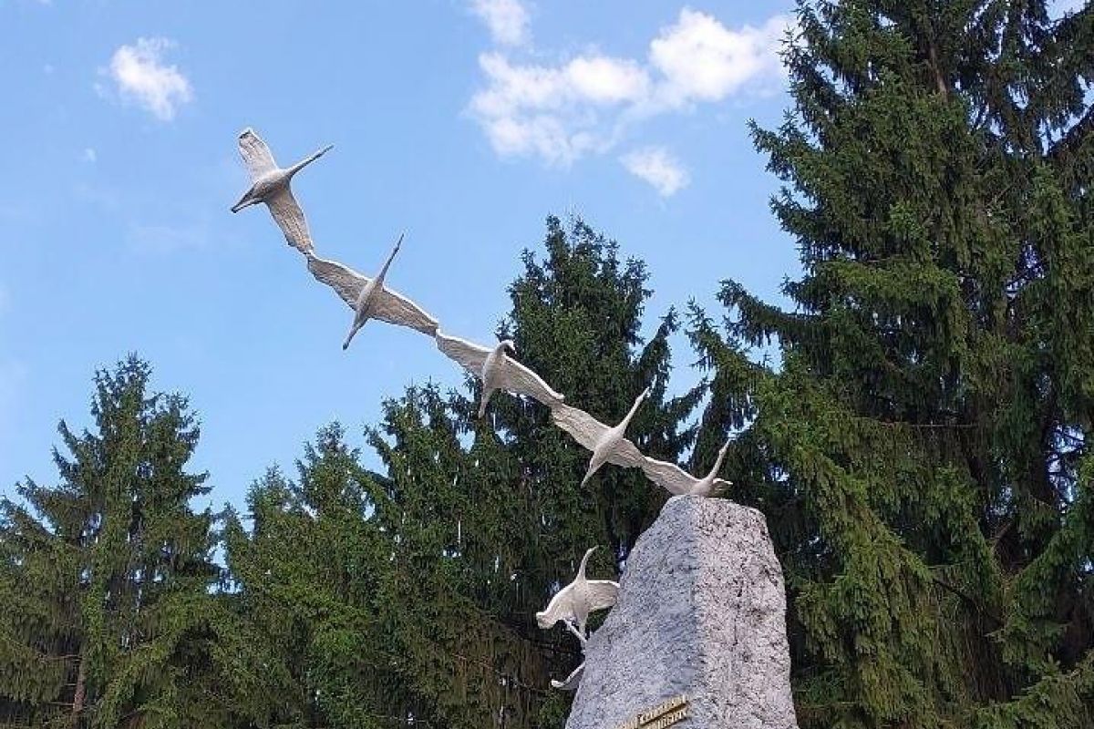 Притяжение Кавказа (заезды по СР и СБ)