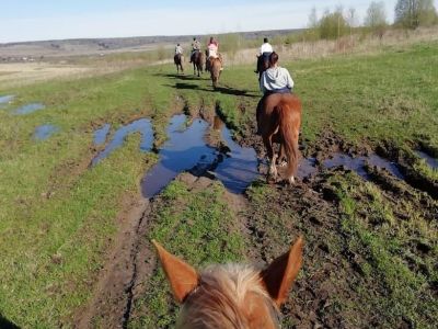 Конный тур: 2 выходных дня в седле